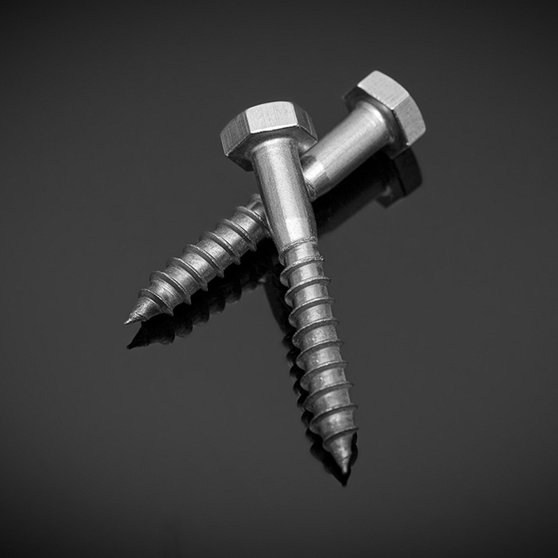 Vis à bois à tête hexagonale en acier inoxydable DIN571 Vis à bois à tête hexagonale en acier inoxydable DIN571