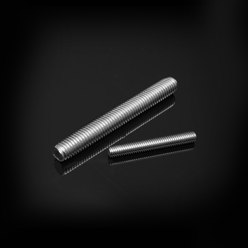 Goujons en acier inoxydable DIN976